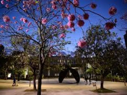 Com projeto paisagístico de Burle Marx, é considerada a segunda maior praça da cidade