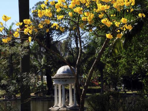 Parque Municipal Américo Renné Giannetti 
