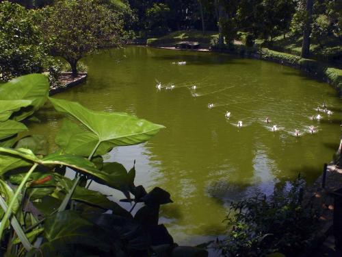 Parque Municipal Américo Renné Giannetti 