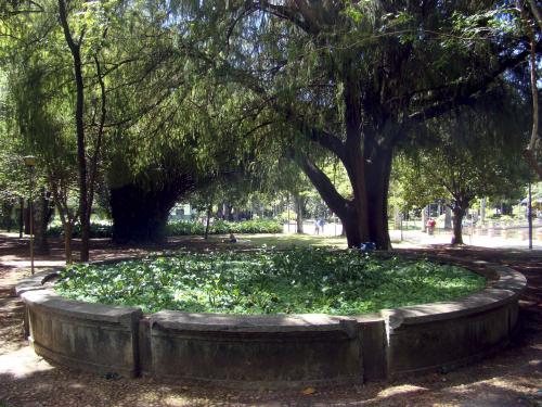 Parque Municipal Américo Renné Giannetti 