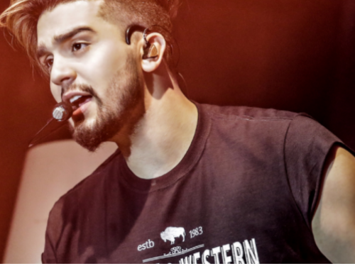 Foto Luan Santana palco