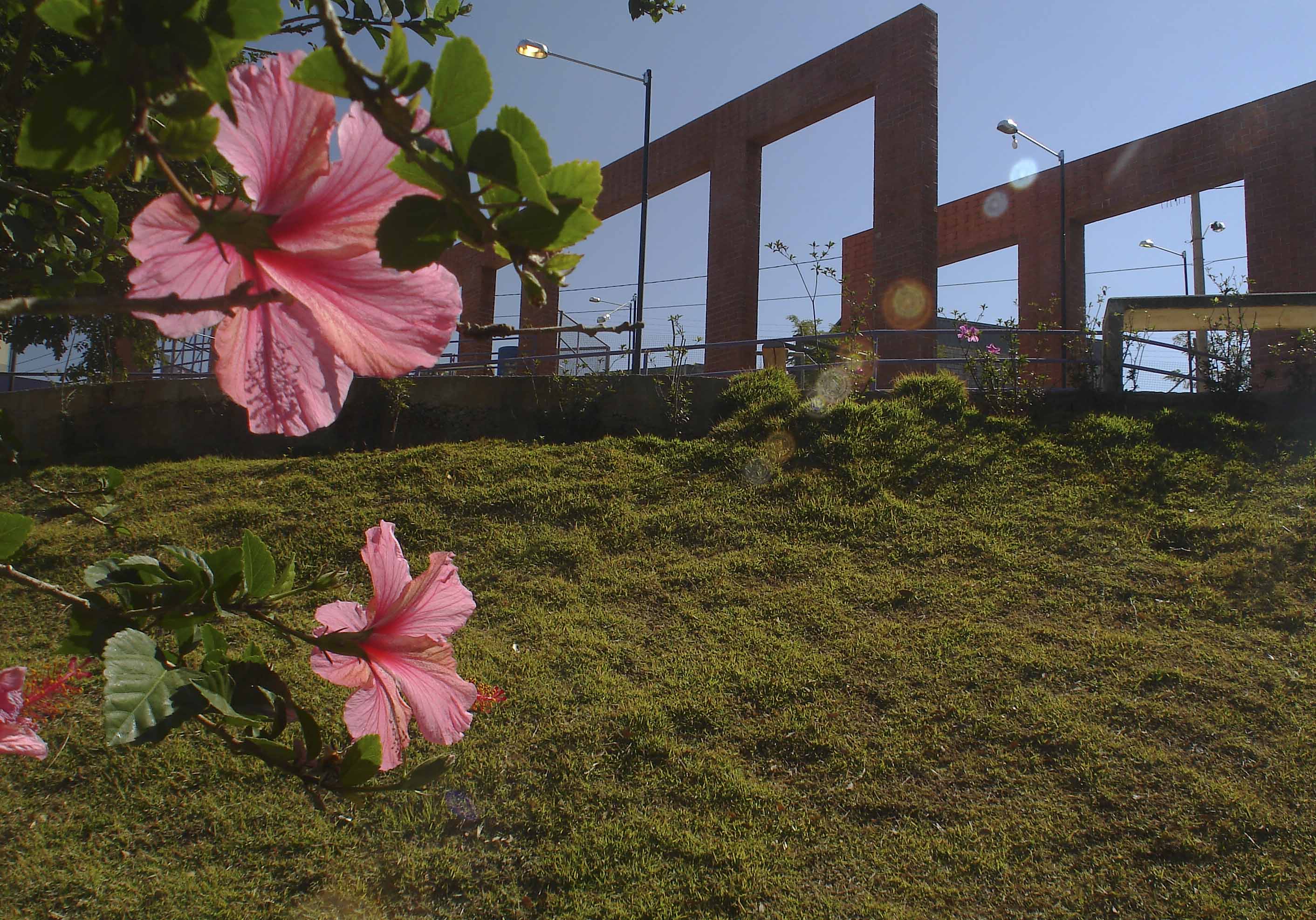 Parque Bandeirante Silva Ortiz