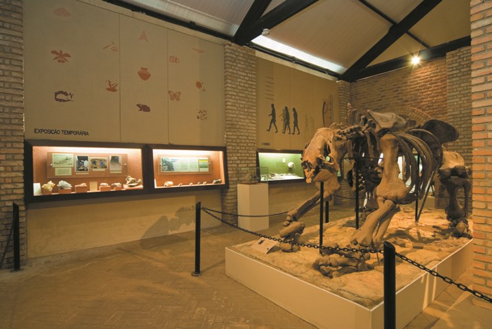 Museu História Natural