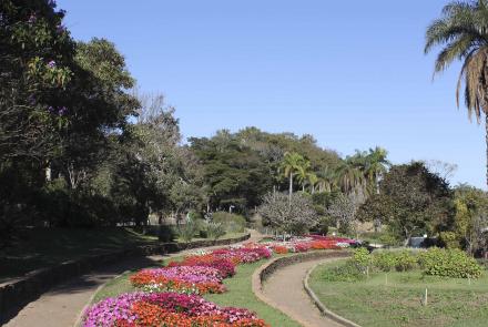 Jardim de Flores e Cores do Jardim Botânico