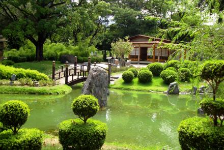 Visão Geral do Jardim Japonês