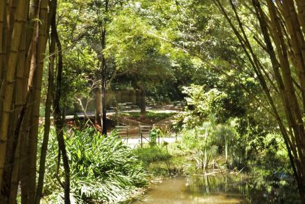 Parque Mata das Borboletas