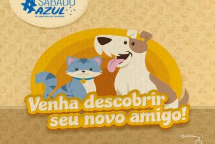 Evento de Adoção de Cães e Gatos